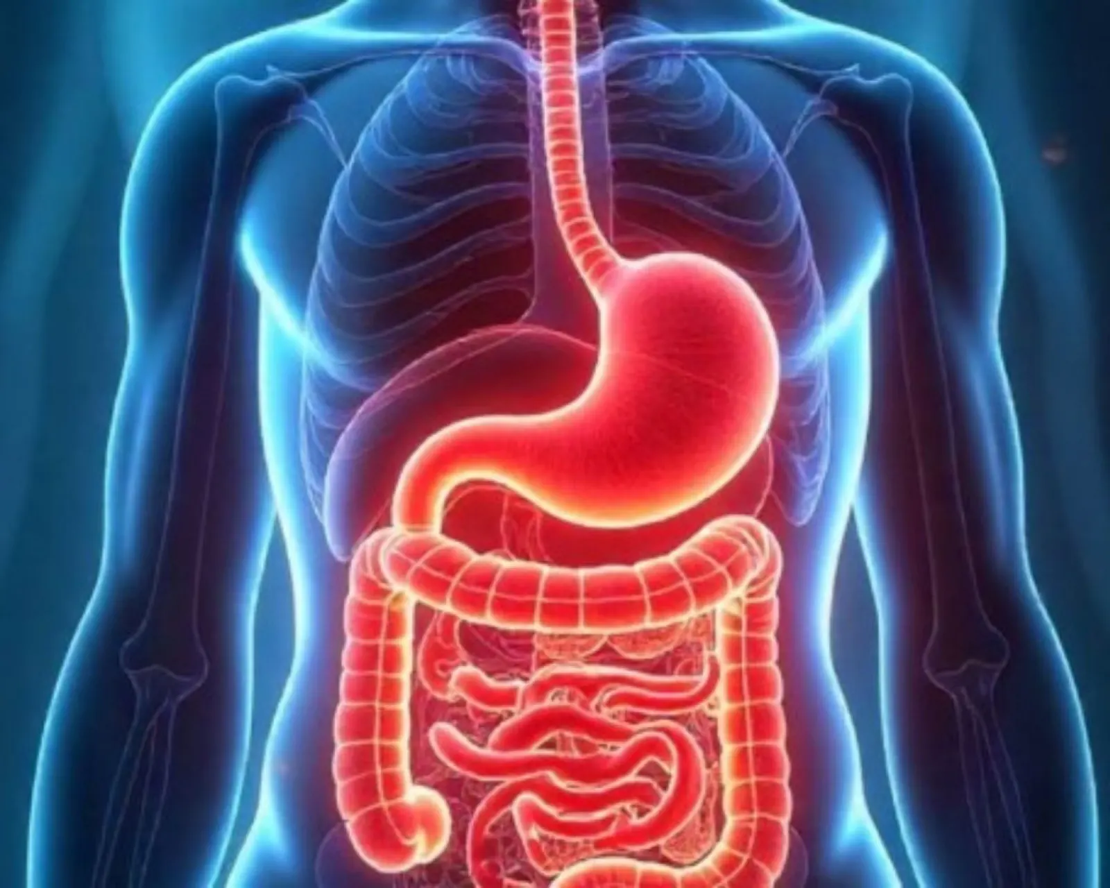 Chirurgie viscérale & digestive