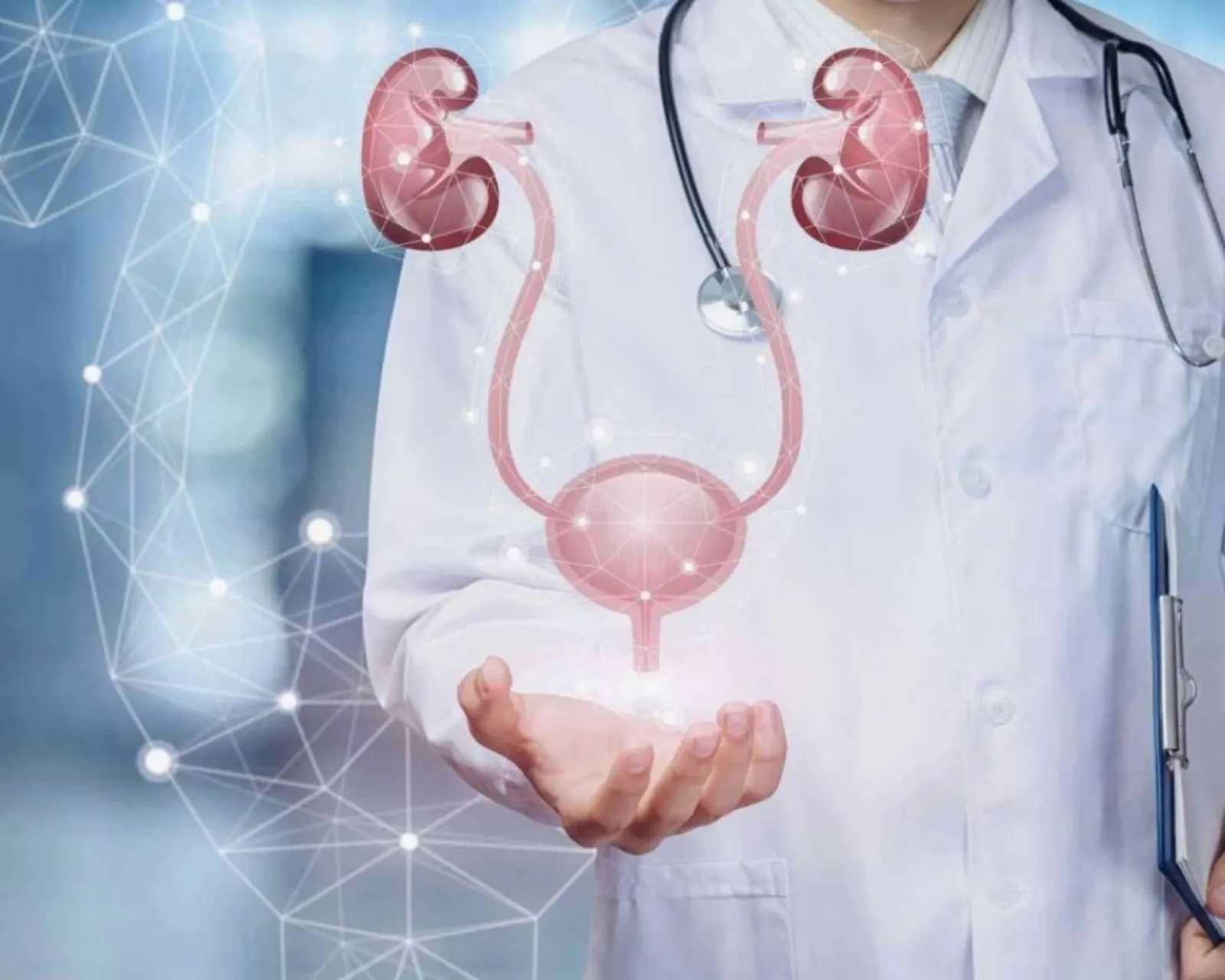 Urologie